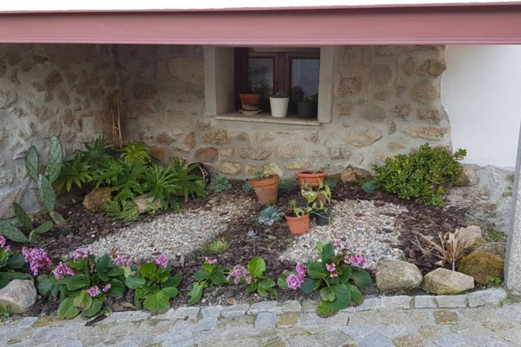 Вилла Casa Bento Moura Portugal Moimenta da Serra Экстерьер фото
