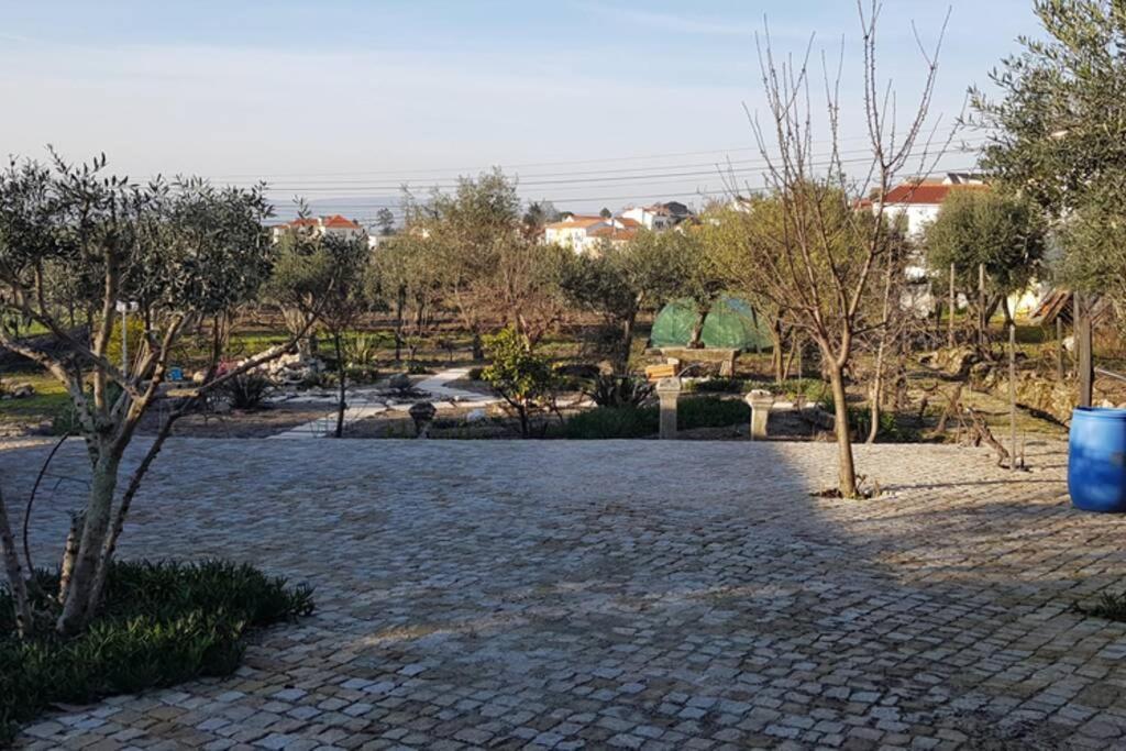 Вилла Casa Bento Moura Portugal Moimenta da Serra Экстерьер фото